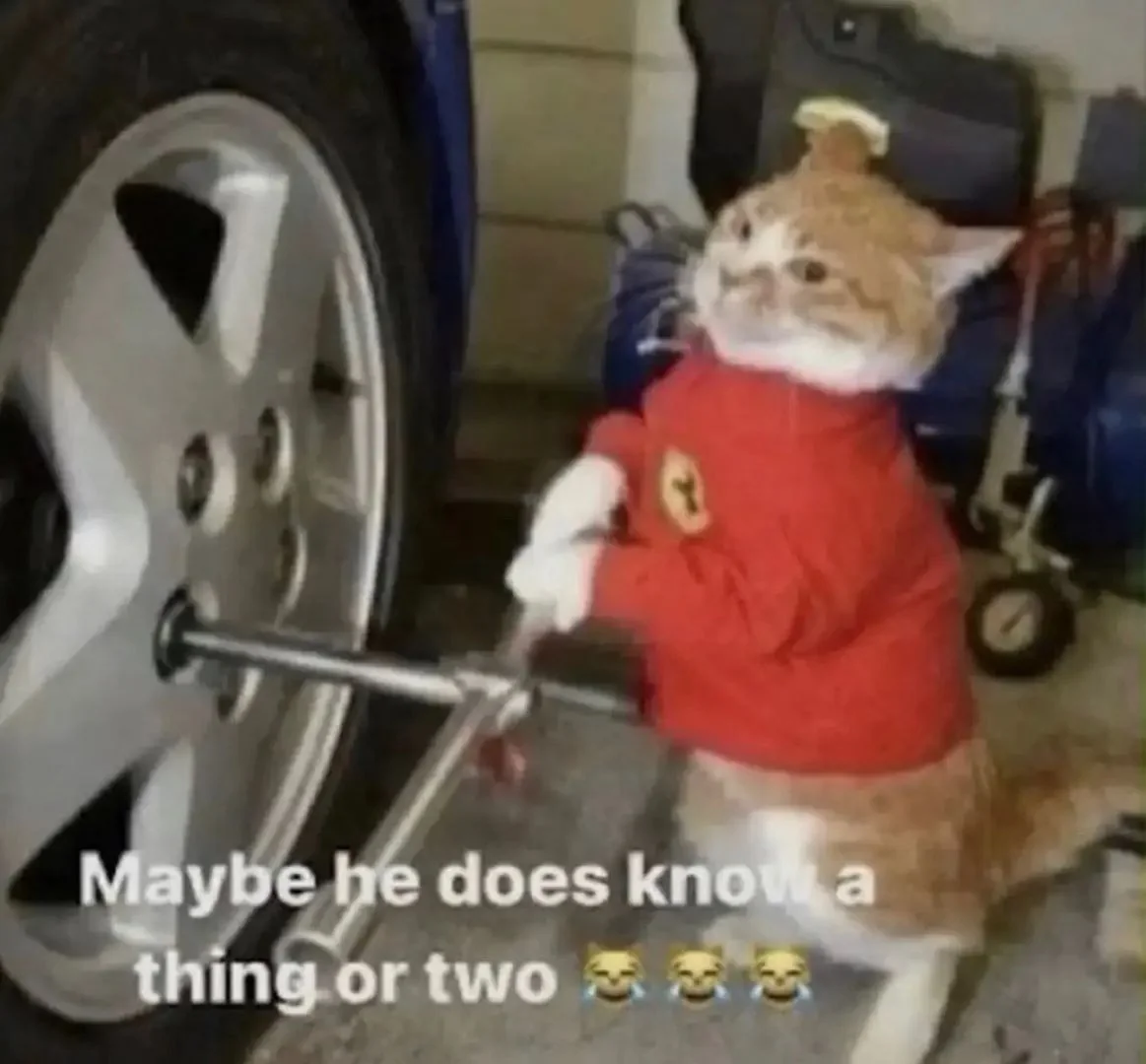 Meme orange cat in sweater working on tire